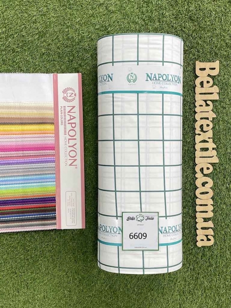 Ранфорс принт 6609