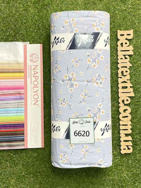 Ранфорс принт 6620