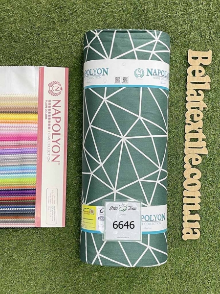 Ранфорс принт 6646