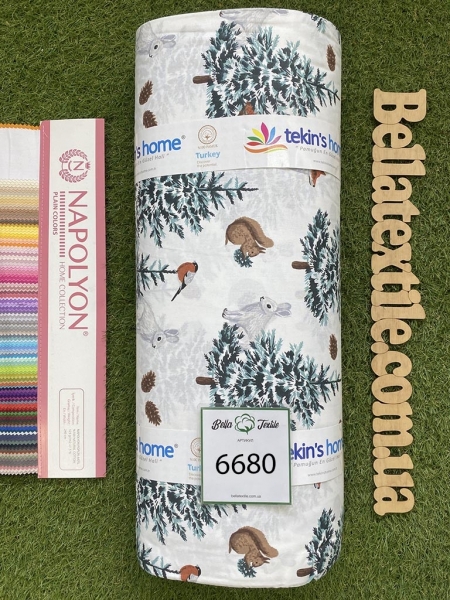 Ранфорс принт 6680