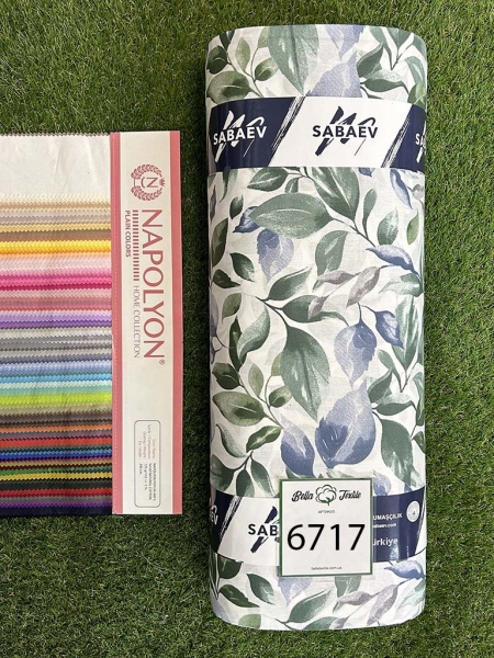 Ранфорс принт 6717