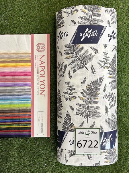 Ранфорс принт 6722