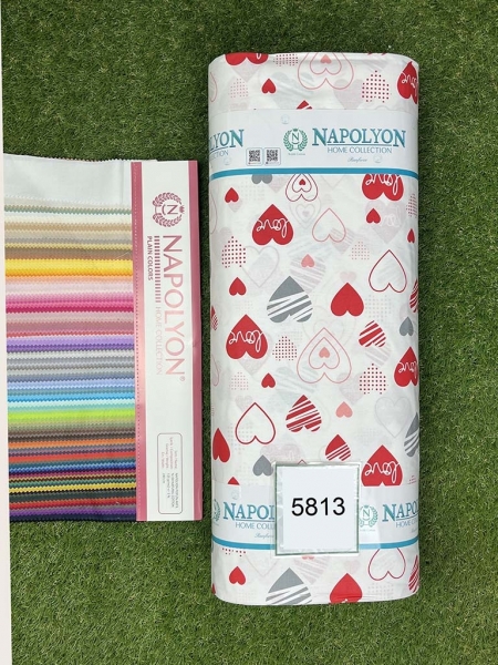 Ранфорс принт 5813